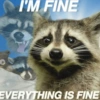 🐼🗑🦝 Raccoons l 🦝 🗑 🐼  25