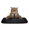 Cats Chapter 1 12