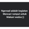 Ngeread adalah kegiatan Mencari rumput untuk Makani wedos:))