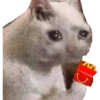 Gatitos tristes 25
