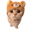 Gatos Sad 14