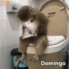 Domingo