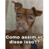 O melhores memes 2020 6