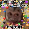 ❤️ Changuitos enamorados 💘 2