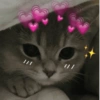 Romantic cats ❤️🐈 13