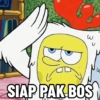SpongeBob  6