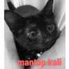 Guji Gosong Kitty 29