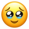 Emojis de iPhone 22