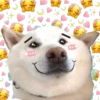 🐱🐾🐶 irl pets l 🐶🐾🐱 27