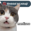 Iliministi isti minsiji 🚫 11