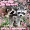 🐼🗑🦝 Raccoons l 🦝 🗑 🐼  4