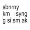 sbnrny km syng g si sm ak
