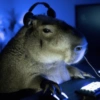 🤎 CAPYBARA MOODS 🤎 13