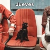 Rreacciones para JUEVES 4 9