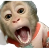 MICOS 9
