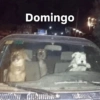 Domingo