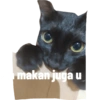 Guji Gosong Kitty 10