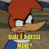Memes do Pica-Pau  8