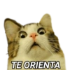 Respostas para se sair bem 14