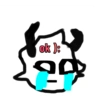 ElseleverxD 22