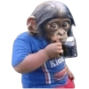 😎 Shitpost 18