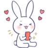 Lovely rabbit 20