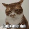 MEME KUCING 🐱 7