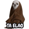 TA ELAO