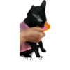 Guji Gosong Kitty 15
