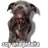 Michis 5