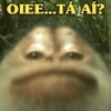 OIEE...TÁ AÍ?
