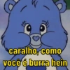 Ursinhos mais que carinhosos 🤣 3
