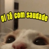 Amor e fofuras 8