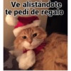 Memes Navideños🎄🎅 7