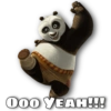 Kung Fu Panda 14