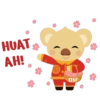 Lunar New Year Cubby 14