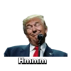 Donald Trump 12