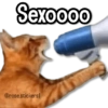 Amor Memes 2❤️🔥💖 23