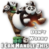 Kung Fu Panda 10