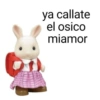 ya callate el osico miamor