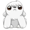 Cute dog 7