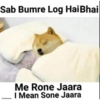 Sab Bumre Log Hai Bhai Me Rone Jaara I Mean Sone Jaara