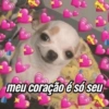 Melhores ironias 12