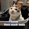 Bobby Kucing Prabowo 🐱 21