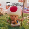 Toad 16