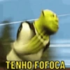 TENHO FOFOCA