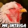 😂 MEMES DIVERTIDOS 😎 3 23