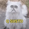 Não qro resolver qro reclamar 7