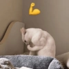 Gatos 5