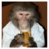 Macaquinhos 🙈 10